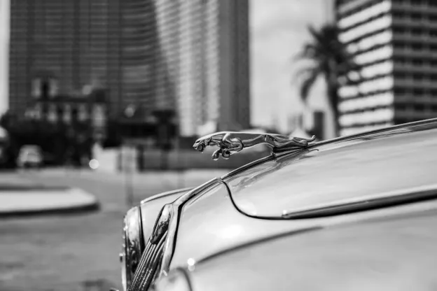 קזום קזינו אפליקציית Android/iOS